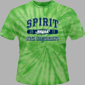 2013 NHIAA Spirit State Championships